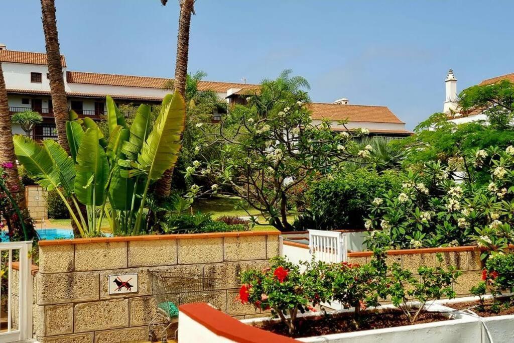 Flordetajinaste Appartement Puerto de la Cruz  Buitenkant foto